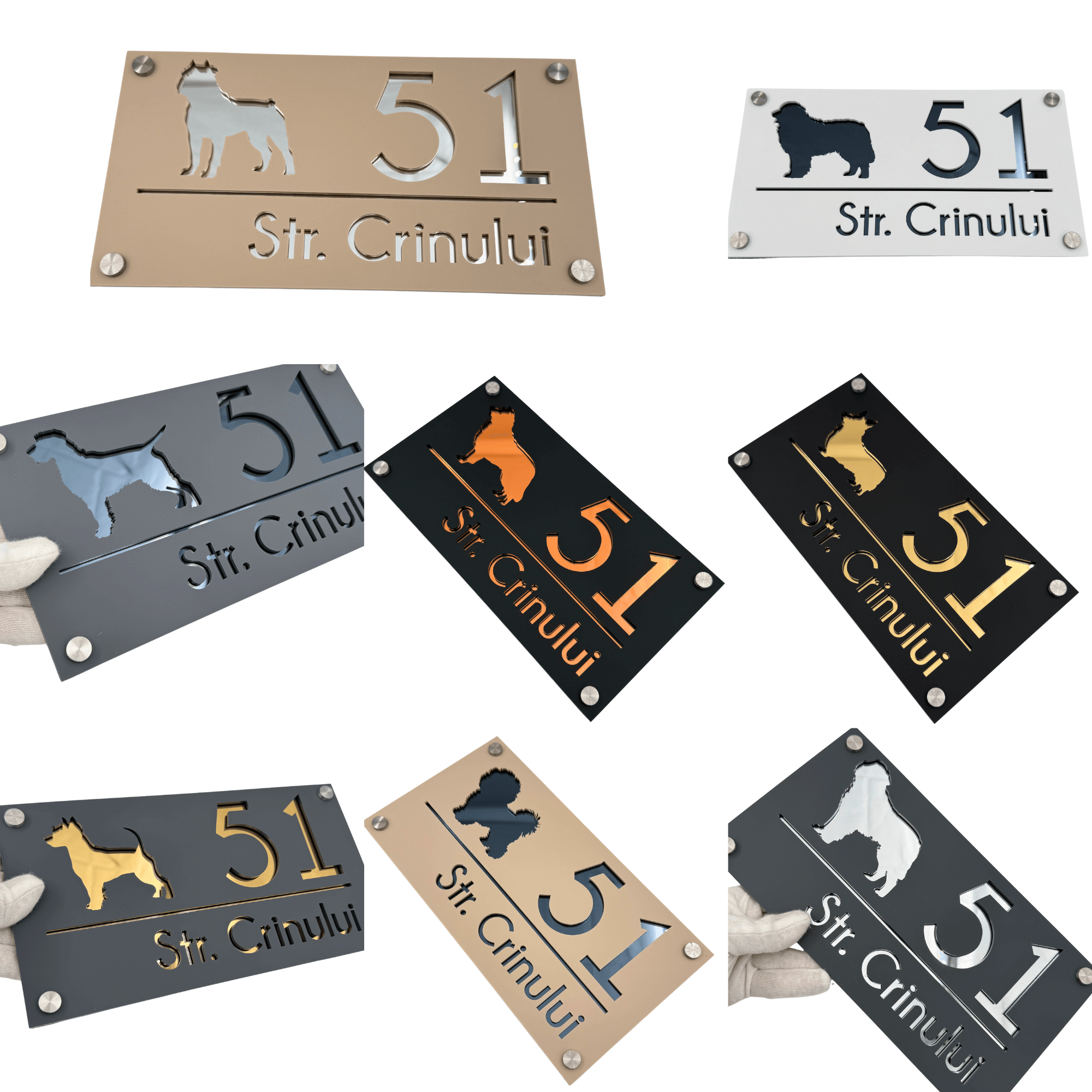 Dogs Collection