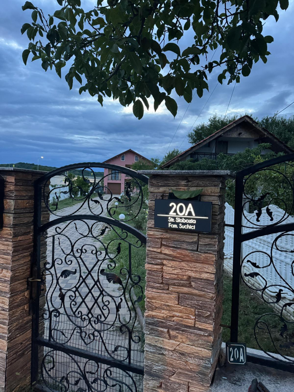 Recenzii | Adresa VIP