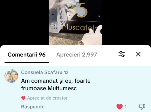 Recenzii | Adresa VIP