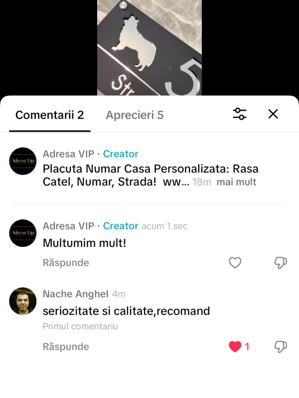 Recenzii | Adresa VIP